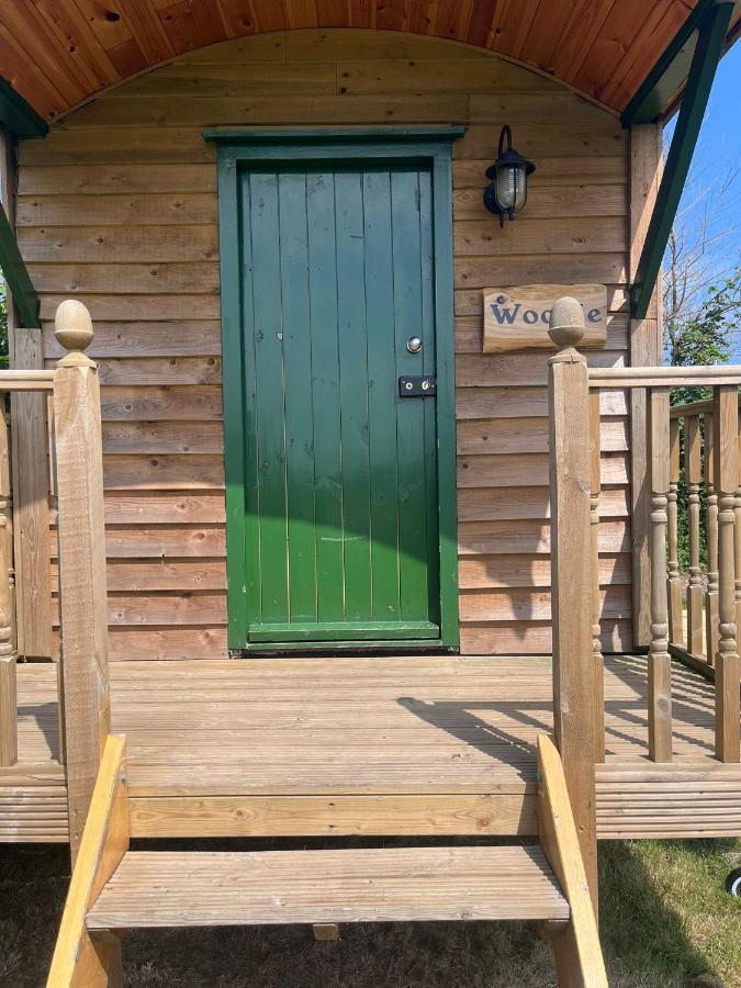 Woodie The Shepherds Hut - Sleeps 4 Chichester Dış mekan fotoğraf