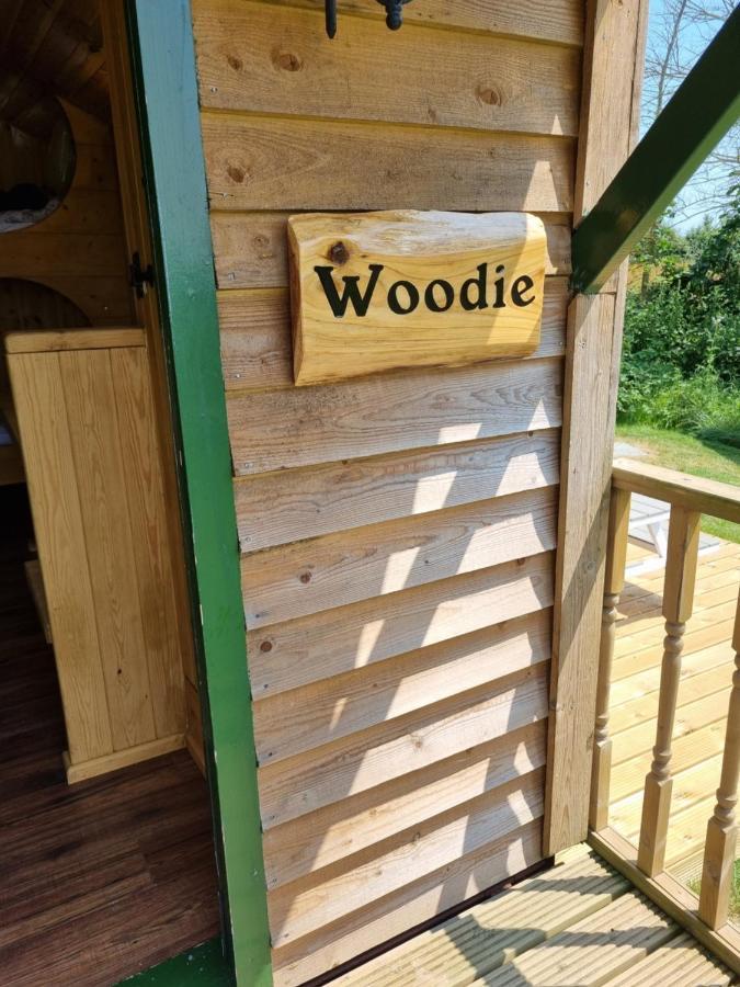Woodie The Shepherds Hut - Sleeps 4 Chichester Dış mekan fotoğraf